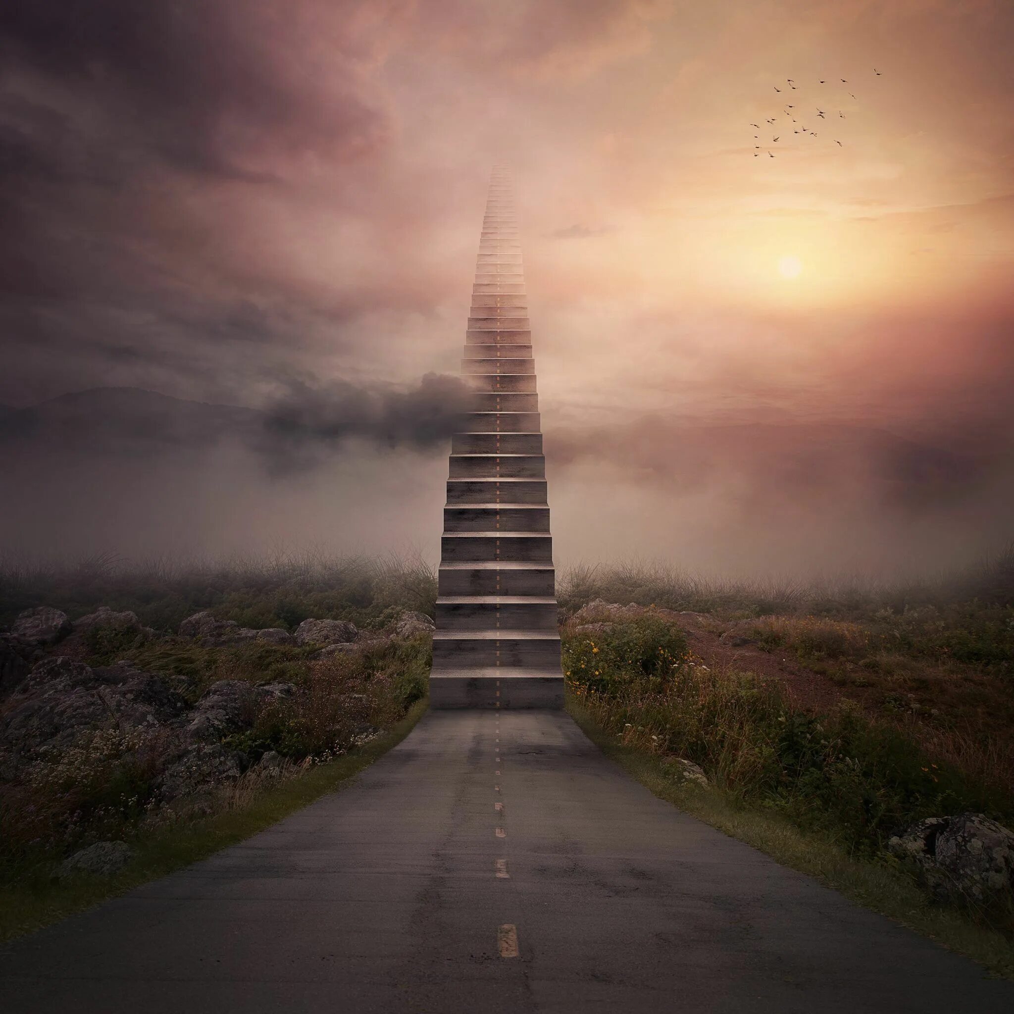 Path to save