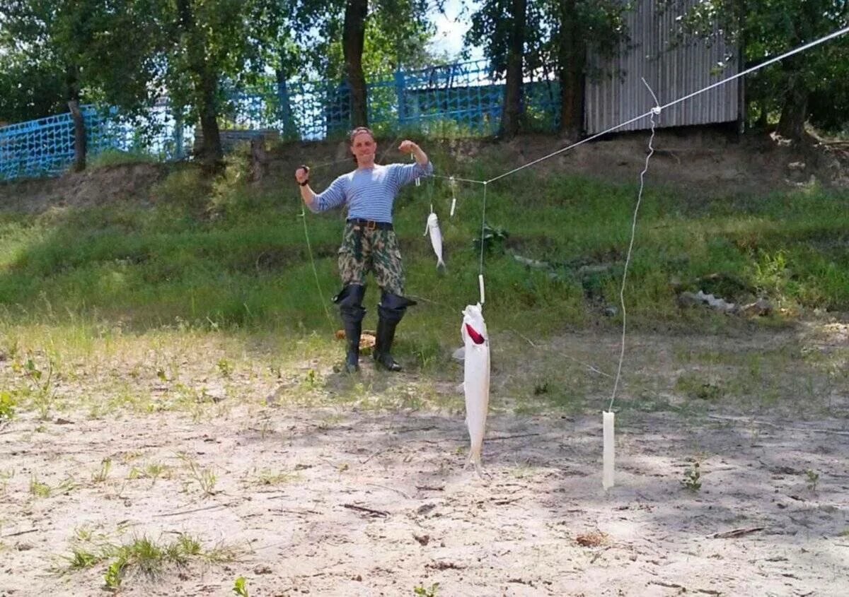 Ловлю рыбы на резинке. Рыбалка на закидушку. Монтаж донной снасти резинка для рыбалки. Оснастка донной снасти на чехонь. Как оснастить снасть резинка.