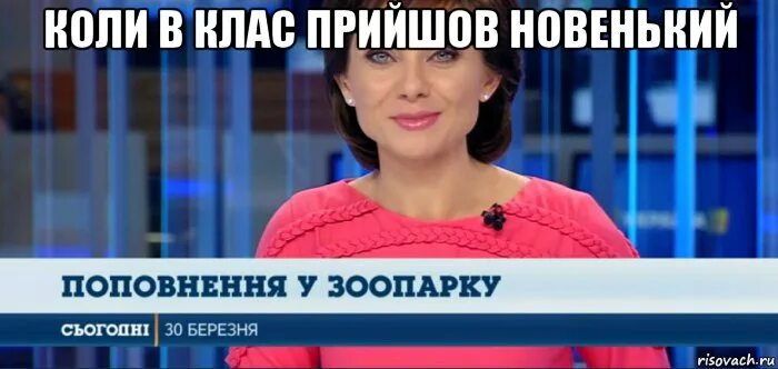 Я новенькая. Привет рисунки прикольные. Привет я новенький мем. Привет картинки смешные. Я новенькая приколы.