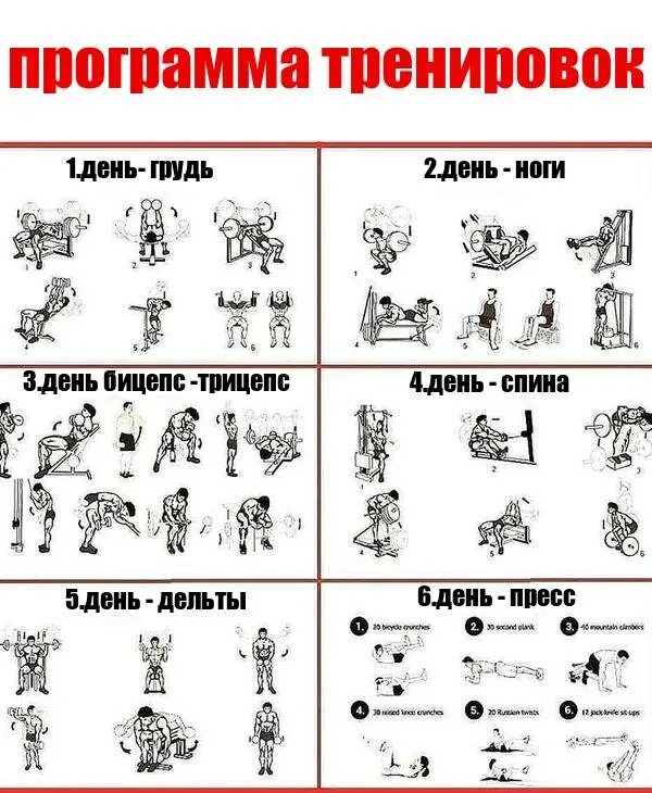 Программа тренировок в тренажерном зале для мужчин 3 раза в неделю. Схема тренировок в тренажерном зале для мужчин 3. Схема тренировок мышц в тренажерном зале для мужчин. План тренировки в тренажерном зале для мужчин для начинающих. Тренировка 4 раза в неделю для мужчин