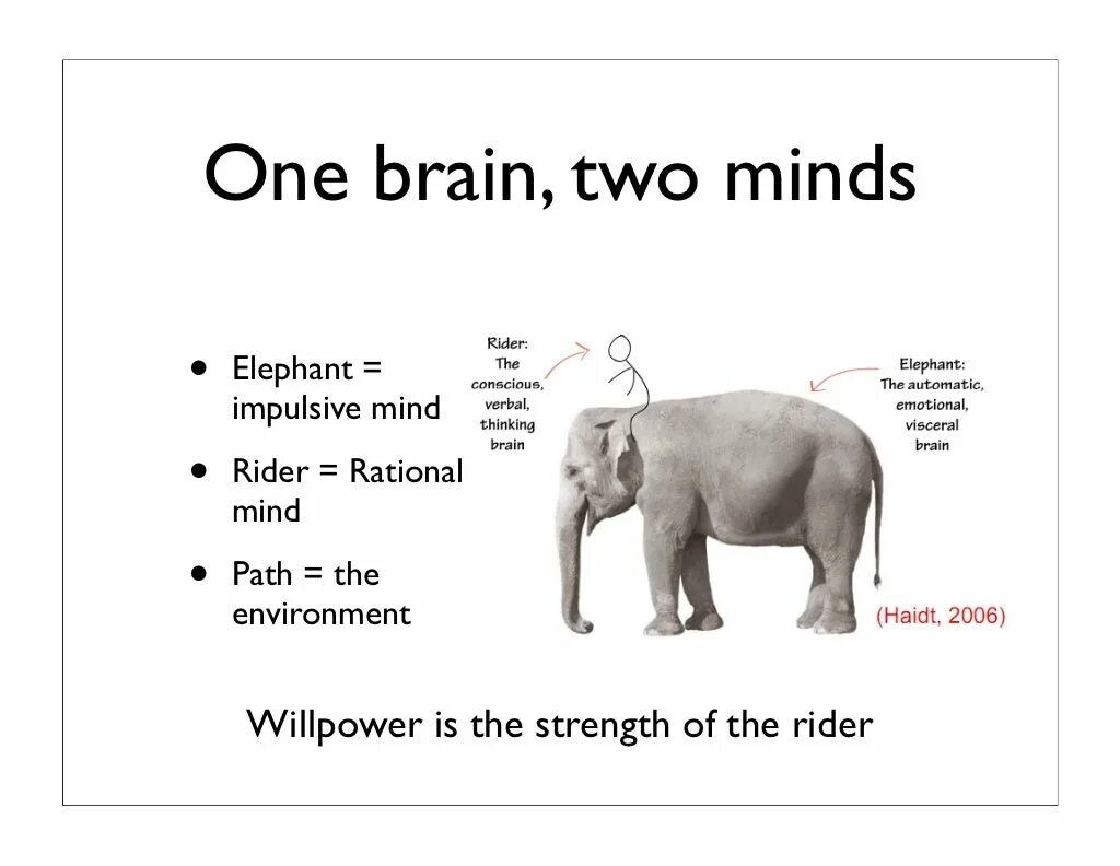 Choose the answer the elephant is. Php слон. the lion and the elephant впр. elephant beta характеристики. описание elephant на английском 5 класс.
