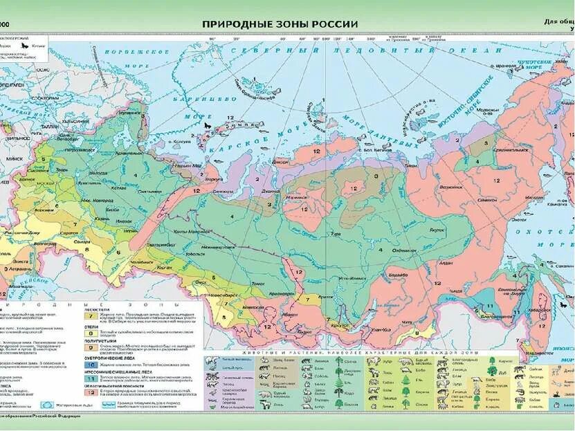 Контурная карта природно хозяйственные зоны. Контурные карты с природной зоной степи Россия. Карта природных зон России 4 класс окружающий мир. Карта России с обозначением природных зон.