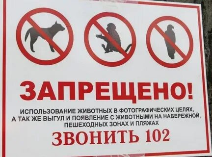 Закон о животных 2024