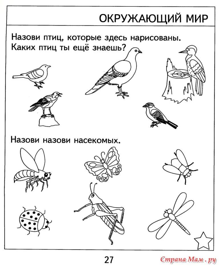 Задания для дошкольников окружающий мир распечатать. Здания по окружающему миру дошкольники. Окружающий мир для дошкольников. Птицы задания для дошкольников. Окружающий мир задания для дошкольников.