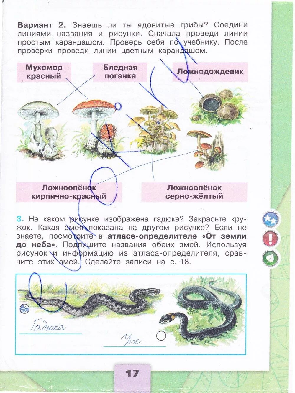 Окружающий мир Плешаков рабочая тетрадь 3 класс 2 часть страница. Окружающий мир 3 класс рабочая тетрадь 2 часть Плешаков стр 17. Окружающему миру 3 класс рабочая тетрадь 2 часть Плешаков. Рабочая тетрадь 3 класс часть 2 окружающий Плешаков страница.