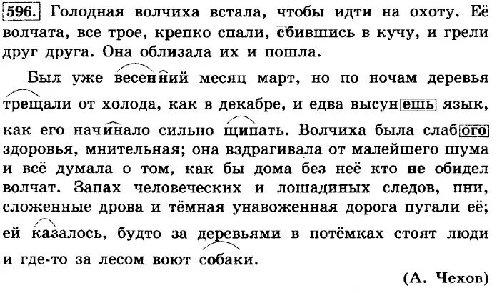 Голодная Волчиха встала. Голодная Волчиха встала чтобы идти. Голодная Волчиха встала чтобы идти на охоту. Голодная Волчиха встала чтобы идти на охоту диктант. Русский язык 6 класс упр 521