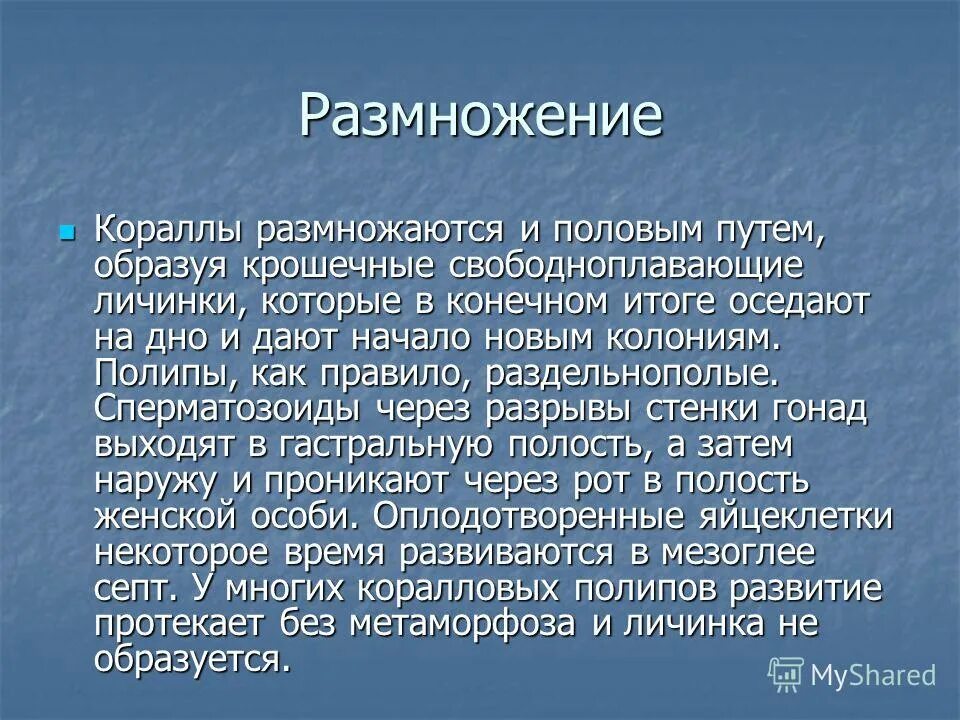 класс коралловые размножение. цикл размножения коралловых полипов. цикл развития гидроидной медузы. как размножаются коралловые полипы. коралловые полипы размножаются.