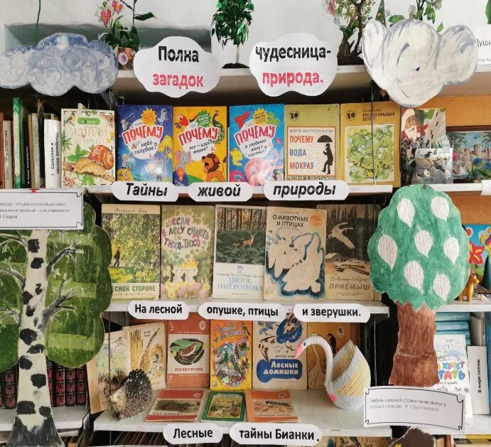 Книжная выставка о лесах. Игровая выставка в библиотеке. Выставка по чуковскому в библиотеке для детей. Сценария чудеса в библиотеки. Сценария чудеса в библиотеки.