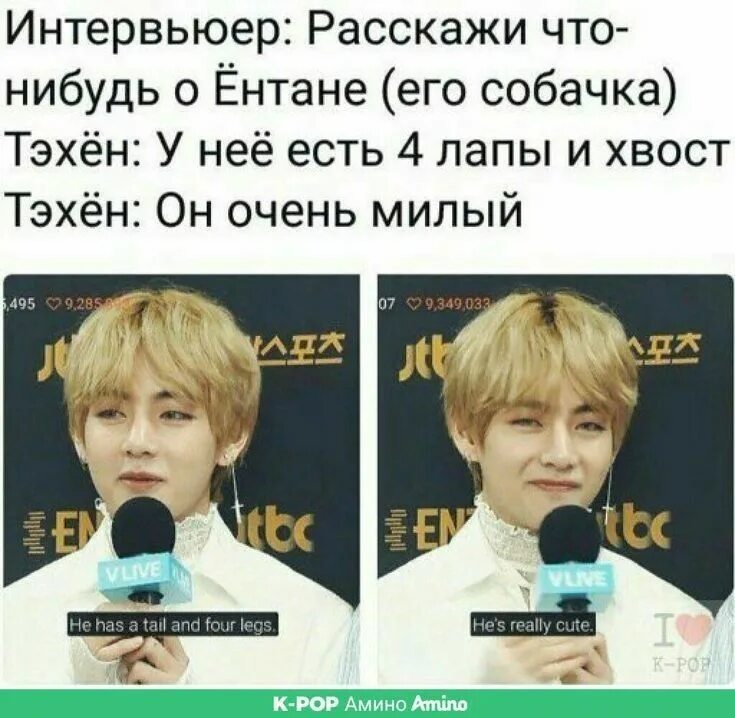 К поп псевдонимы. Смешные приколы бтс. тэхен приколы. смешные цитаты к-поп. бтс мемы.