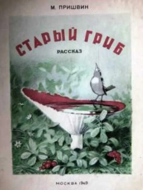 Старый гриб пришвин. Рассказ старый гриб. Пришвина "старый гриб. М пришвин старый гриб. Рассказ старый гриб.