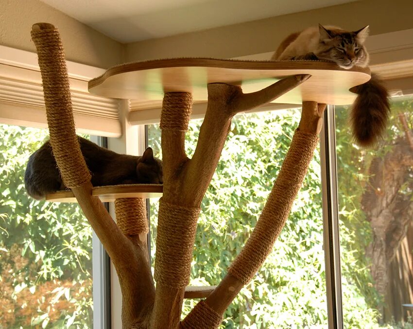 Развлечения для котов. Кошачья лазалка дерево. Лазидка когтеточка для кота. Кошачий домик лазалка. Когтеточка из дерева.