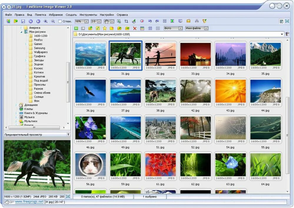 Фаст вьювер. Программа для просмотра фотографий. FASTSTONE image viewer. Программа для просмотра и редактирования изображений. FASTSTONE image viewer Интерфейс.