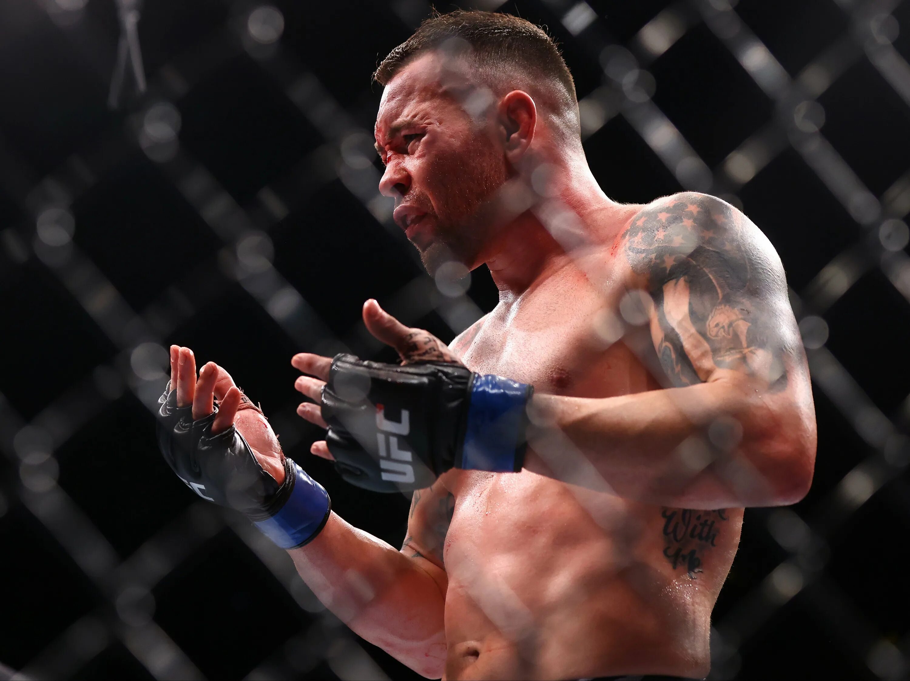Блейдс юфс. Бойцы ufc. Яир родригес. Волкановски боец ufc. Результаты сегодняшнего юфс.