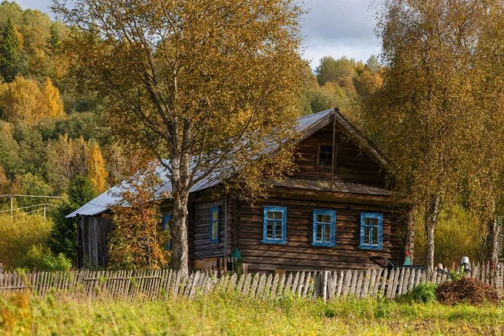 Изба начаться. Изба в деревне. Деревенская изба. Избушка в деревне. Деревенские избы в России.