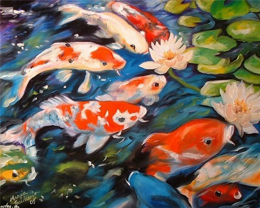 Девять карпов фен шуй. Карпы кои хадзиро. Девять карпов фен шуй. Тимоти паркер карпы кои. Девять карпов фен шуй.