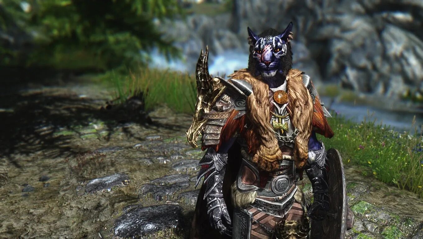 Каджит иниго. Skyrim компаньон иниго. Каджит иниго. Каджит иниго. Скайрим иниго броня.