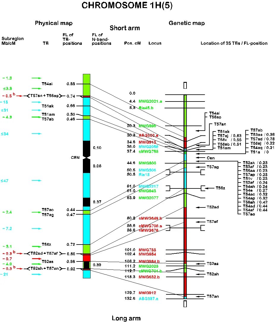 Chromosom Map. Amel y chromosome Maps. Ab diagrams Map. What is a physical Map of Gene.