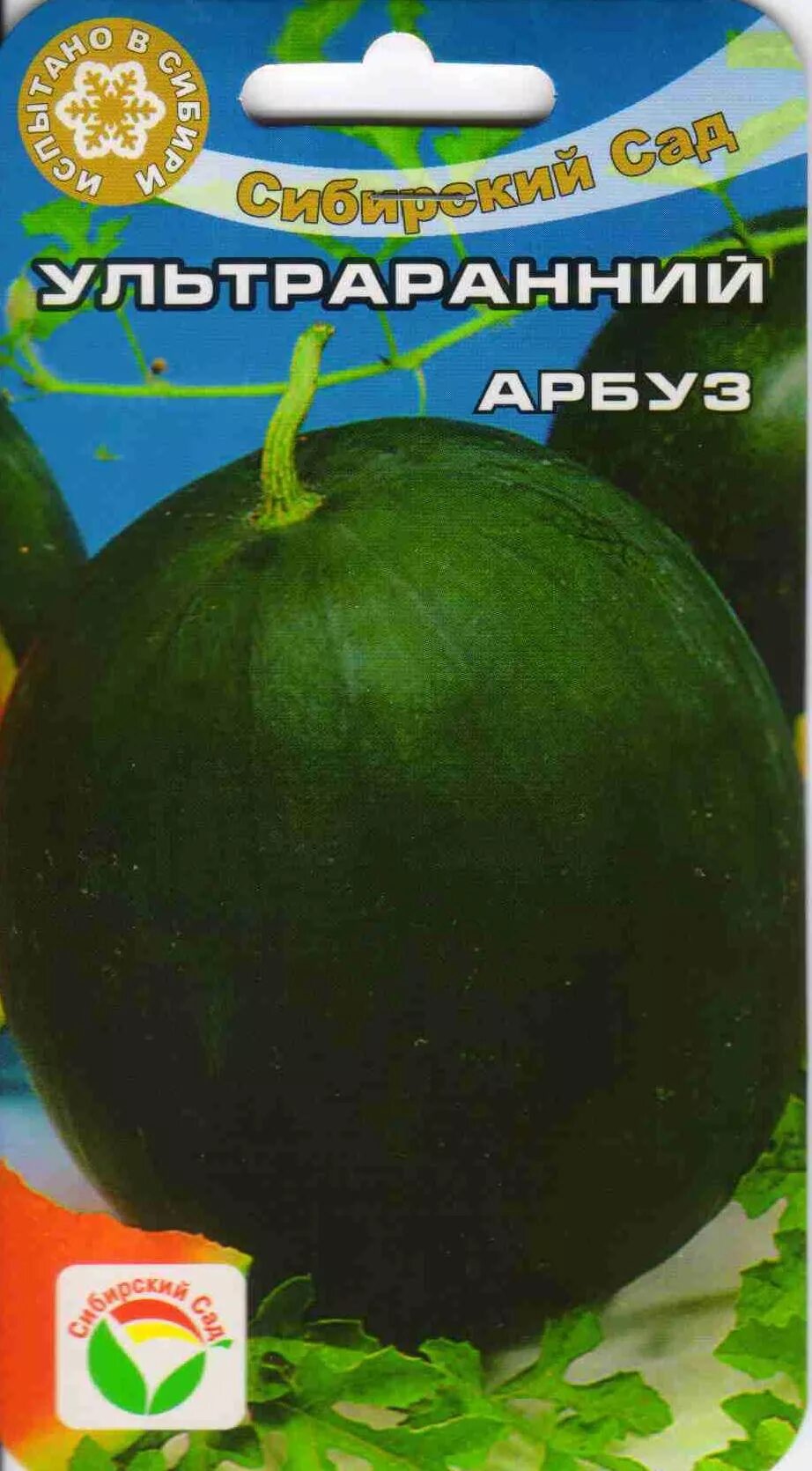 арбуз ультраранний желтый сибирский сад. арбуз ультраранний описание сорта фото отзывы. арбуз ультраранний сибирский сад. сибсад арбуз ультраранний. арбуз ультраранний описание сорта фото отзывы.
