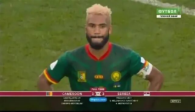 финт тв трансляции