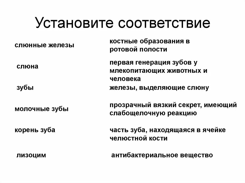 Установите соответствие слюна