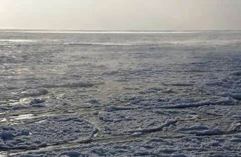 Какое море нашей страны не замерзает