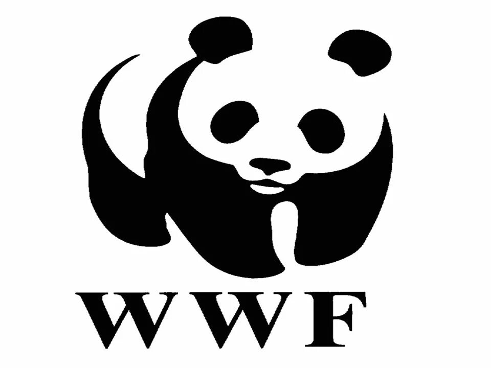 The world wildlife fund is. Всемирный фонд дикой природы WWF. Эмблема WWF Всемирного фонда дикой природы. Всемирная организация защиты животных. Защита животных логотип.