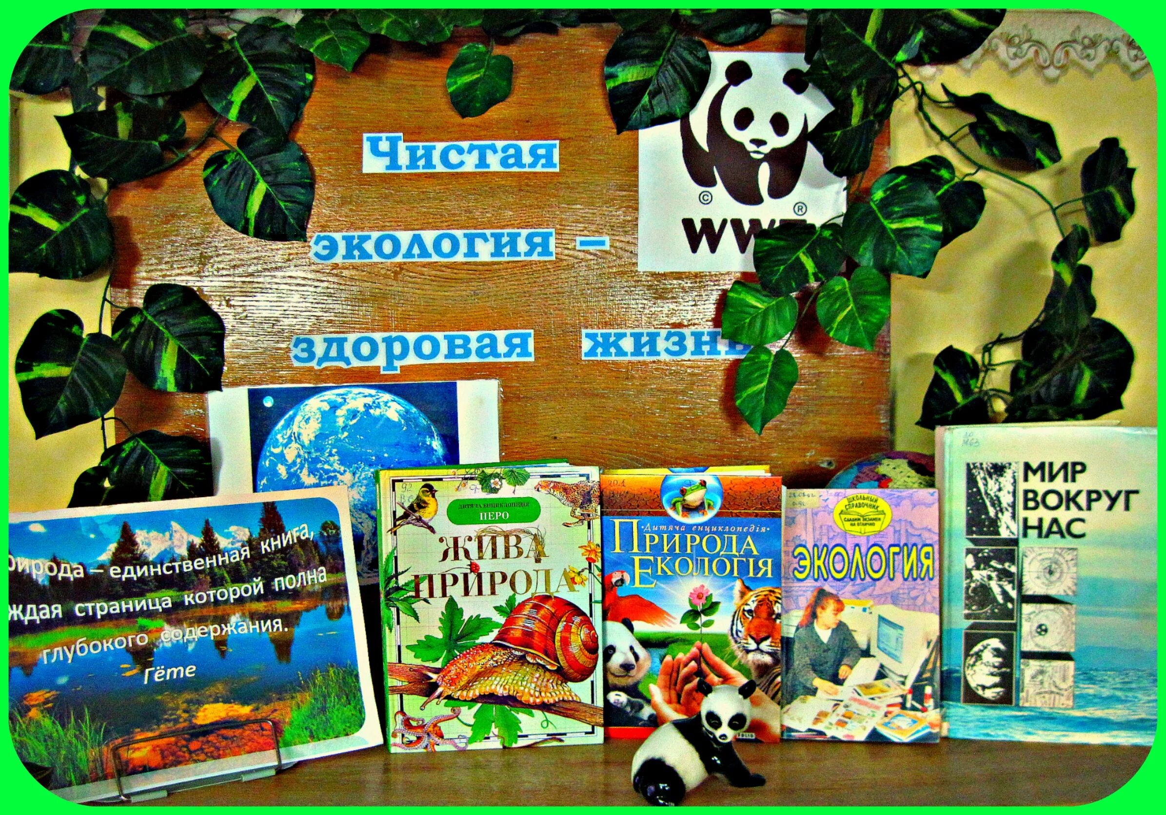 День экологических знаний. День экологии в библиотеке. Книжная выставка к Дню экологических знаний. День экологических знаний книги. День земли в библиотеке название