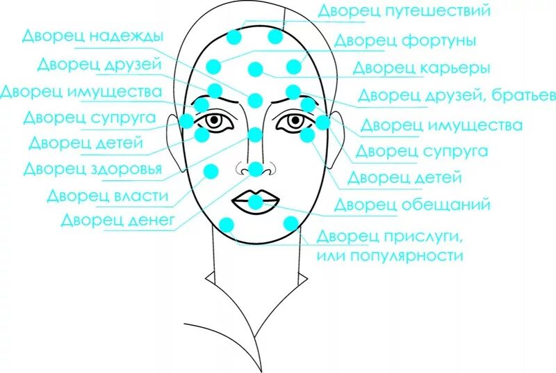 Обозначение родинок на лице. Карта родинок на теле человека. Что значит левая девушка. Знаки судьбы родинки на лице. Женщина за рулем юмор.