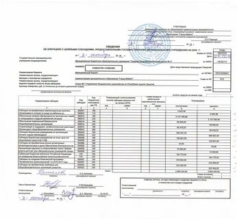 Целевая субсидия на иные цели