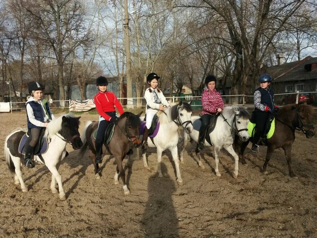 Клуб конюшня. КСК Пассаж конюшня. Конный клуб Москва. Конный конный клуб ,,Мьюз". КСК В Москве.