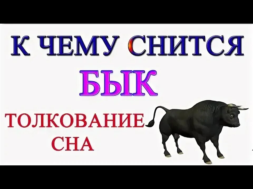 К чему снятся быки женщине во сне. К чему снится черный бык. сонник к чему снится бык. сонник-толкование бык приснился.
