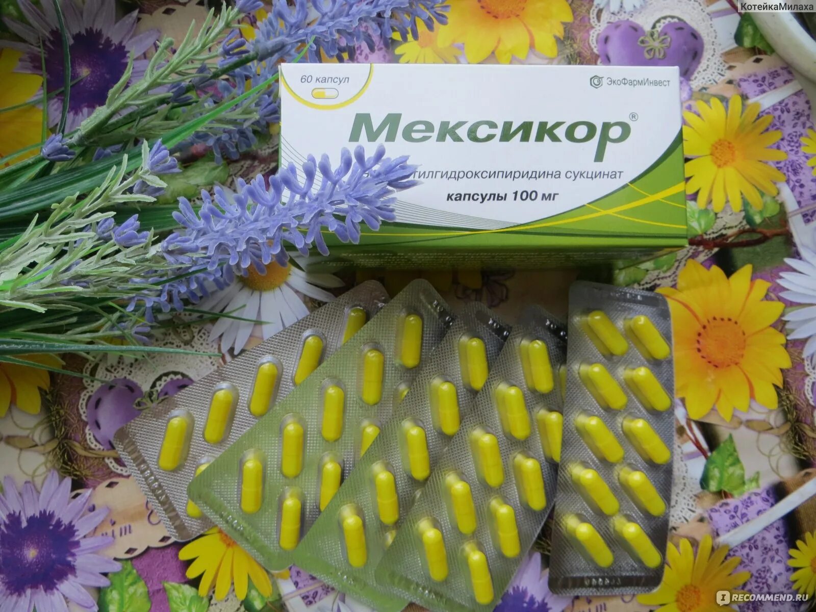 Мексикор капсулы отзывы. Мексикор капсулы. Мексикор 100. Мексикор фото. Мексикор производитель.