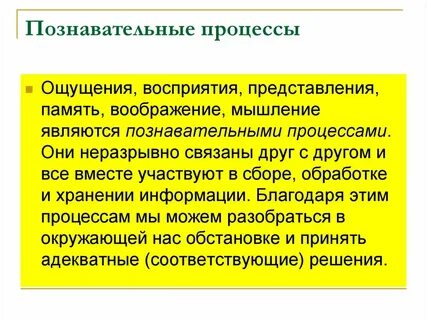 Ощущения и восприятия кратко
