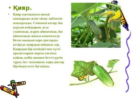 Ксенаның жалаңаш суреттері