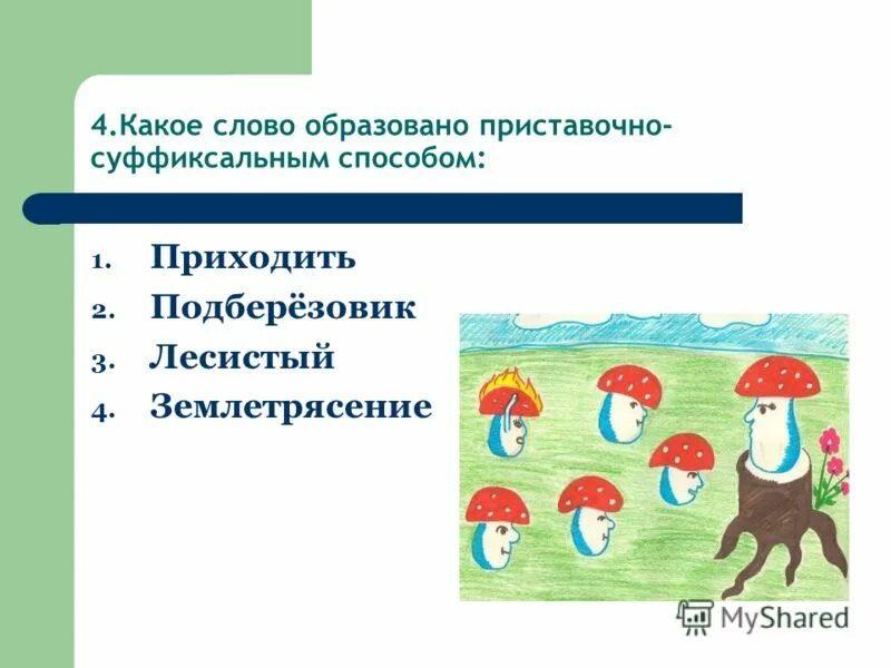 Подберезовик растет под березой. Подберезовик береза березняк березка. Корень это общая часть родственных слов. От какого слова образовано слово березовый. Подберезовик образует микоризу.