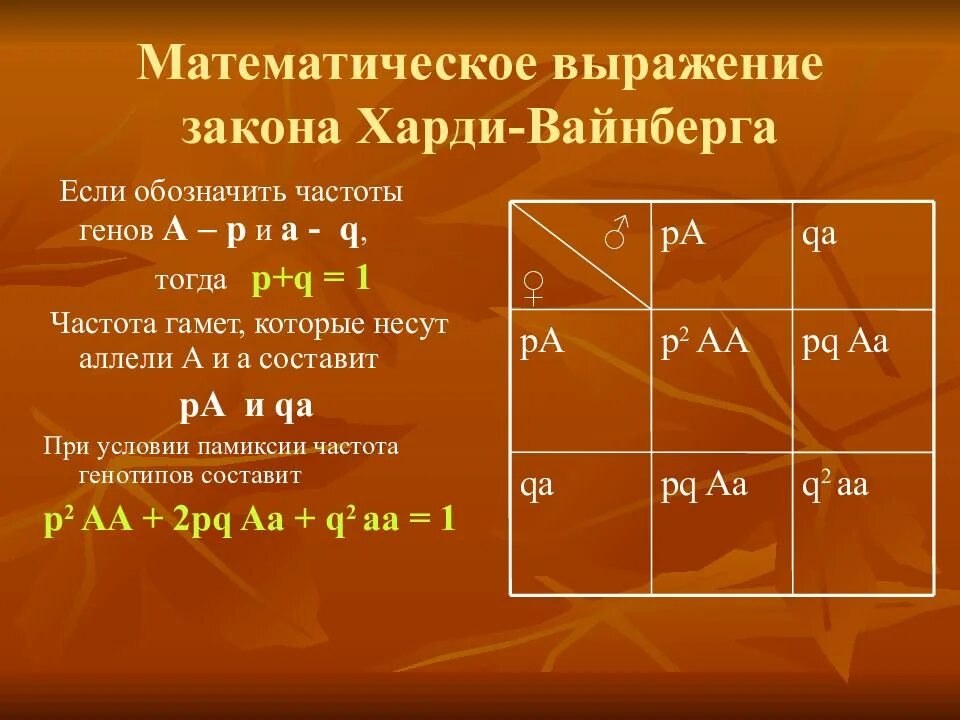 Формулировка и математическое выражение закона действия масс. Математическое выражение закона. Математическое выражение закона. Математическое выражение второго закона термодинамики. Математическое выражение закона термодинамики.
