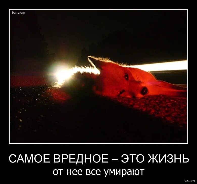 Все от нее