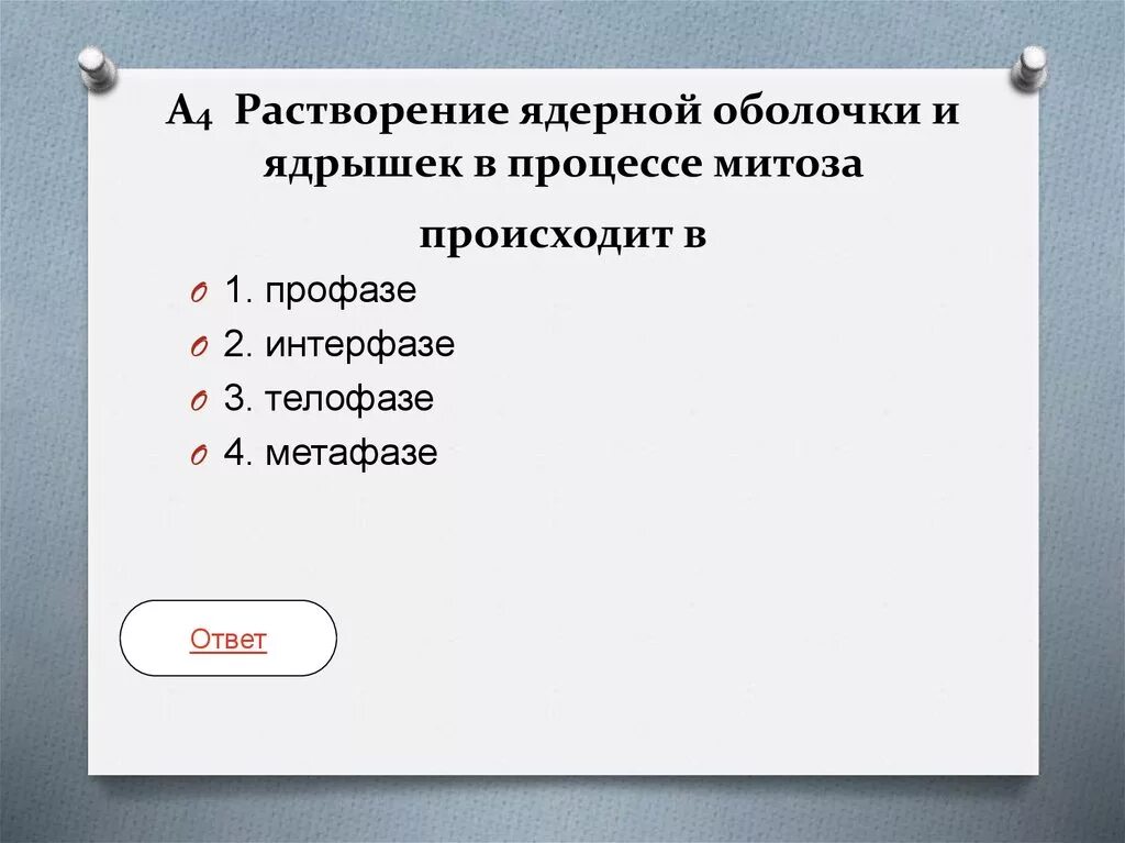 Растворение ядрышка. Растворение ядерной оболочки и ядрышек в процессе митоза происходит. Растворение ядерной оболочки в процессе митоза. Растворение ядерной оболочки и ядрышек. Растворение ядерной мембраны.