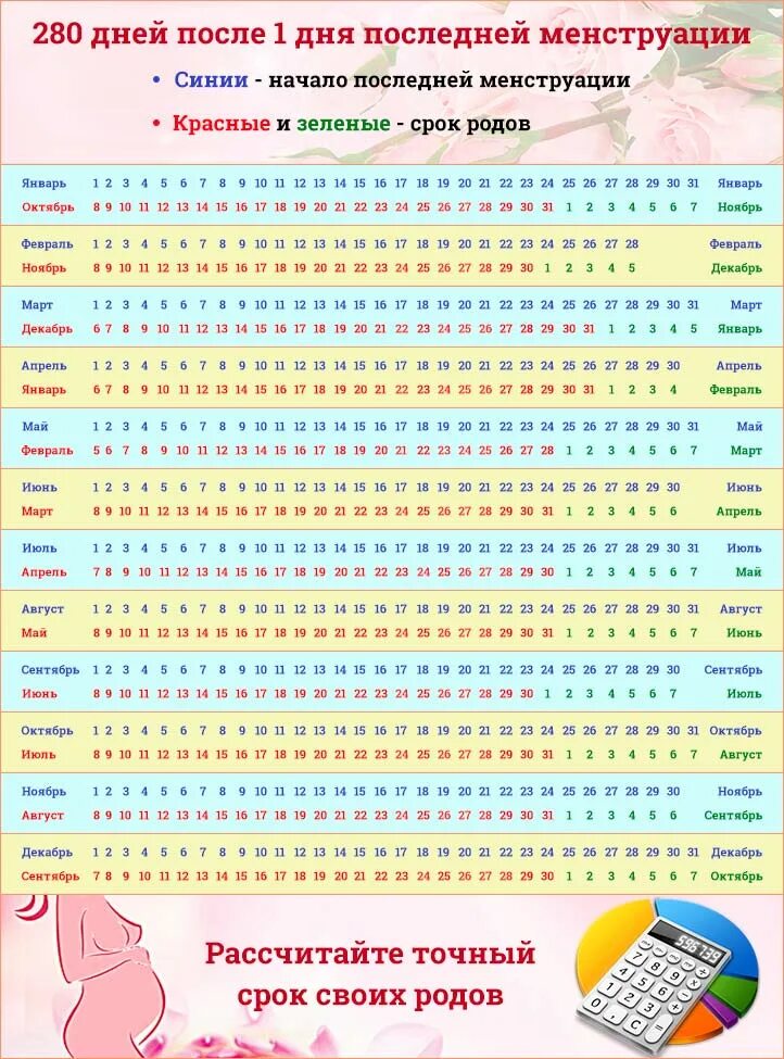 Посчитать дату рождения. Таблица зачатия и родов. Алендарь беременности. Календарь беременности по неделям. КАРИНДАР беременность.