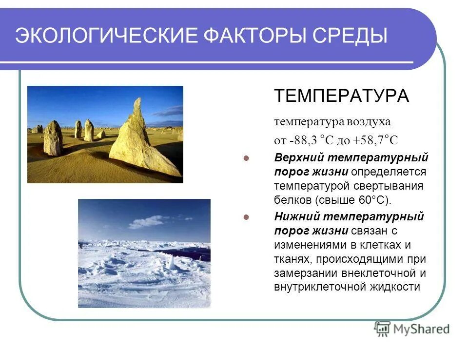 экологические факторы. физические и химические факторы среды обитания. характеристика температуры как экологического фактора. биологические факторы экологии. абиотические биотические и антропогенные факторы таблица.