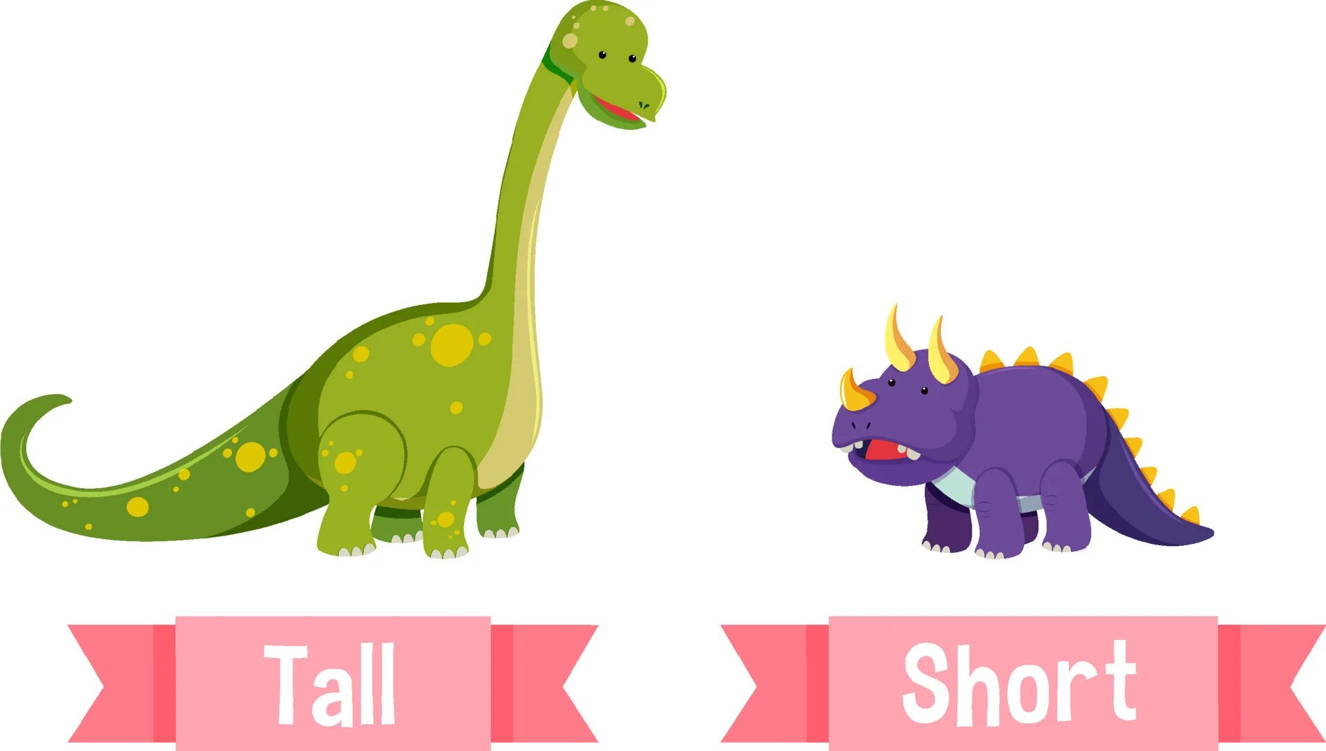 Tall opposite. Tall short. Tall opposite Word. Tall short Flashcards.