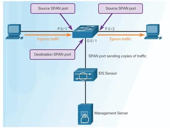 Span порт коммутатора что это. Span Порты что это. Настройка управляемого коммутатора RSTP.