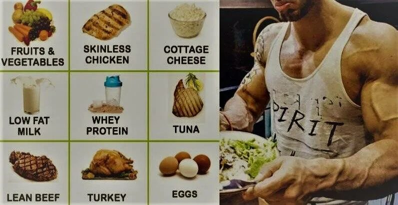 Питание для набора мышечной массы. Питание для набора мышечной массы для мужчин. Питание белковое для набора мышечной массы. Белковая еда для набора мышечной массы.