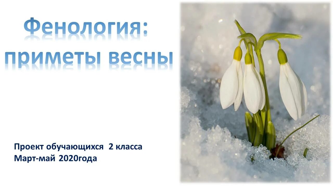 Известные весенние приметы 2 класс окружающий мир. Приметы весны. Приметы ранней весны.