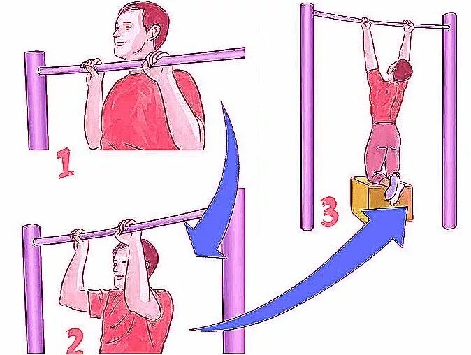 Упражнения для подтягивания. Упражнения на перекладине. Подготовительные упражнения для подтягивания на перекладине. Занятия на турнике для начинающих. Как научиться подтягивания