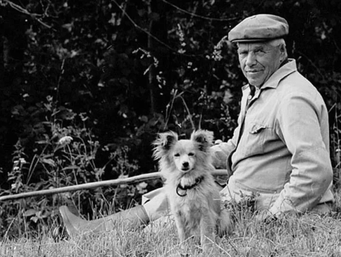 Пожилой человек с собакой. Дед с собачкой. Старики и животные. Пожилой мужчина с собакой. Старики и животные.