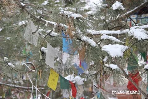 Погода в калмыкии в ноябре
