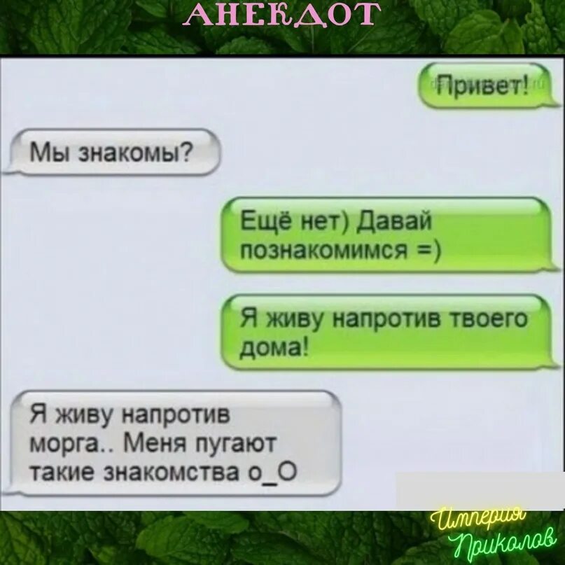 Жила напротив. Давай познакомимся прикол. Привет знакомой. Мы знакомы. Мы знакомы прикол.