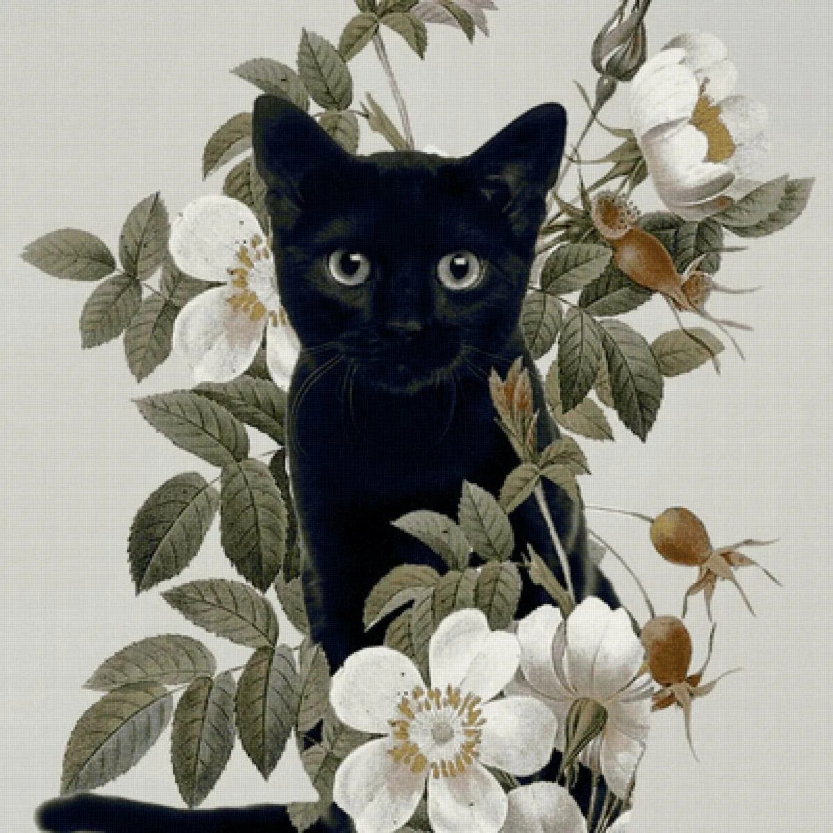 Кошка с цветами. Кошка с букетом цветов. Черный кот с цветами. Кот с цветочком. Рисунок кота с цветами