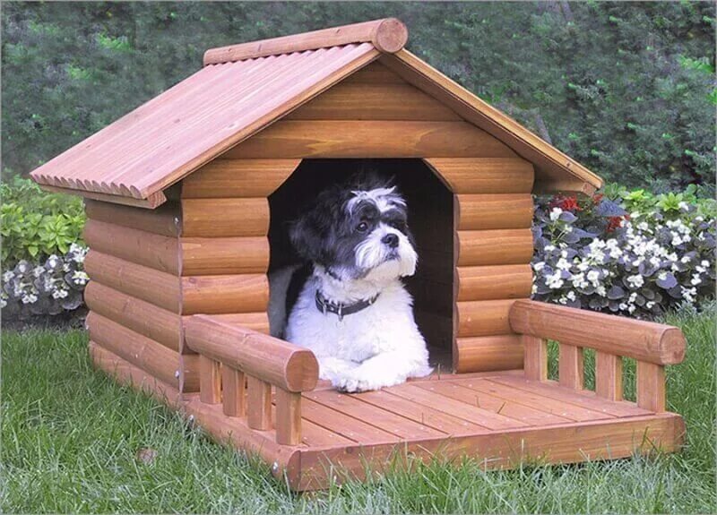 New dog house. Собака с конурой. Собачья будка. Красивые будки для собак. Красивая будка.